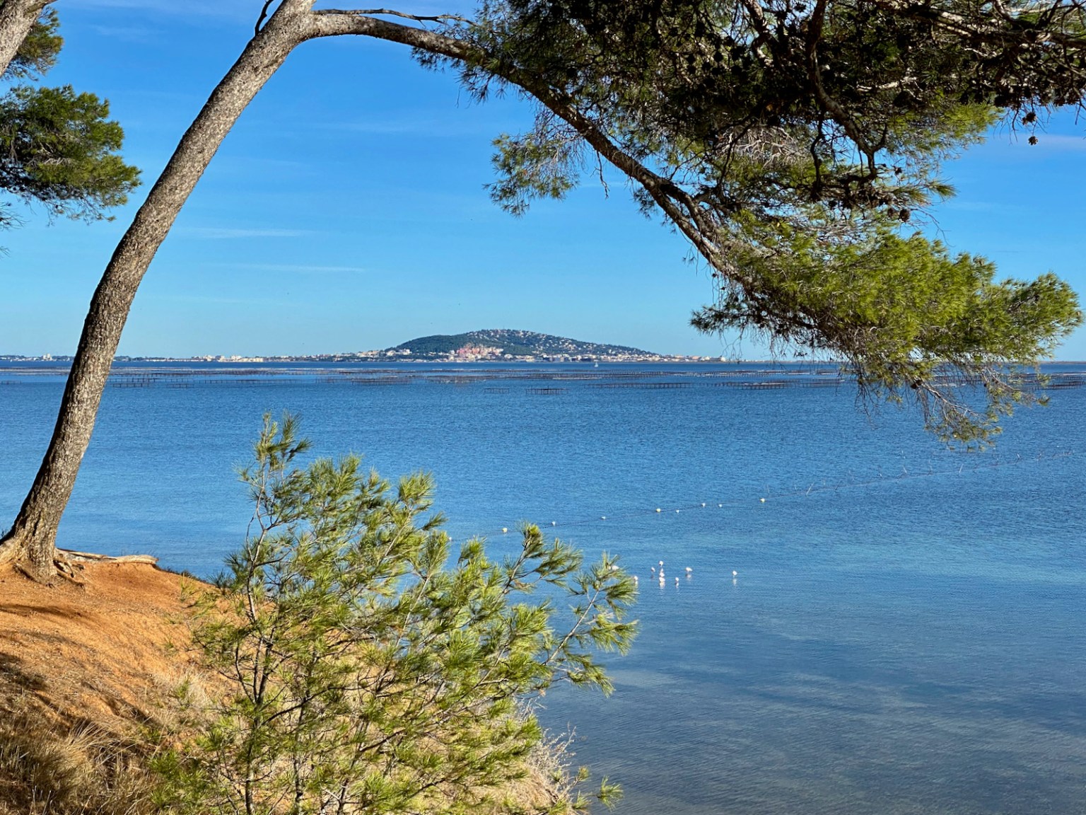 Le tour de l’agglomération à vélo